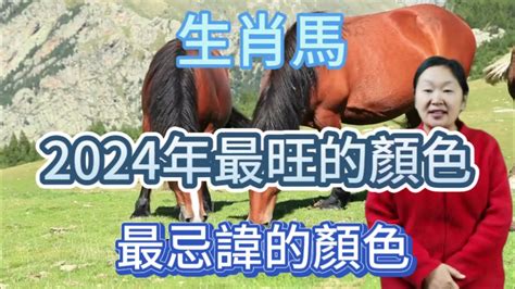 生肖馬顏色|【屬馬 顏色】屬馬的人注意了！2024年讓你運勢爆棚的幸運顏色。